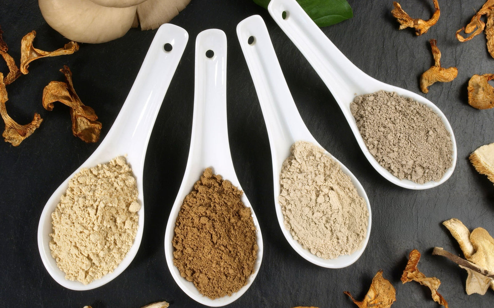 Health Benefits of Medicinal Mushrooms