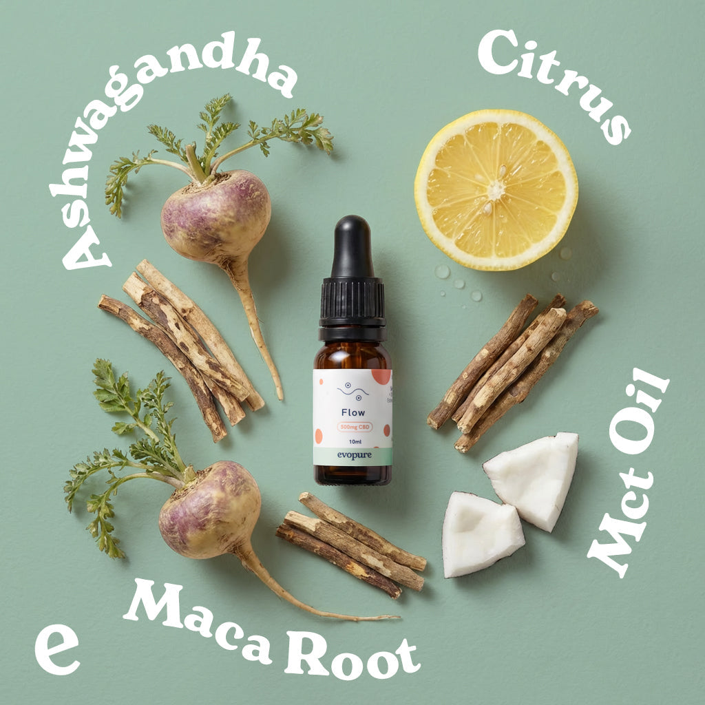 Evopure Flow CBD Oil bottle displayed with raw ashwagandha root and maca powder for natural focus and brain fog relief