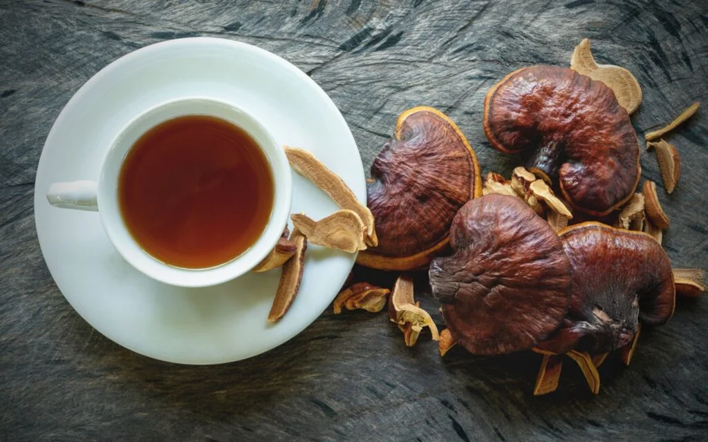 How To Make Mushroom Tea