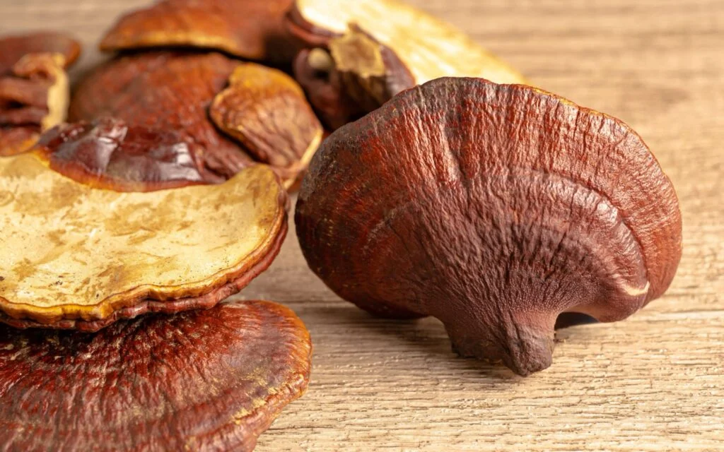 Reishi Mushroom: Benefits, Dosage & Side Effects