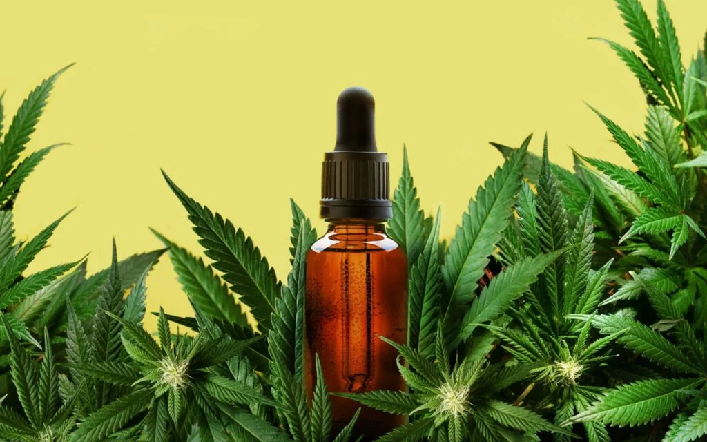 Why is CBD Oil So Expensive? 7 Factors that Affect CBD Oil Prices