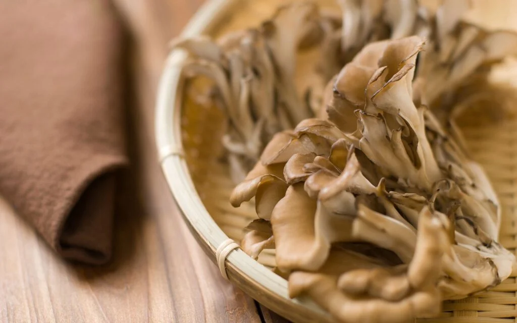 Maitake Mushrooms: Benefits, Side Effects & Uses