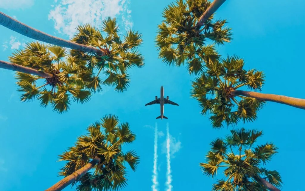 Flying with CBD Oil: Tips & Legality
