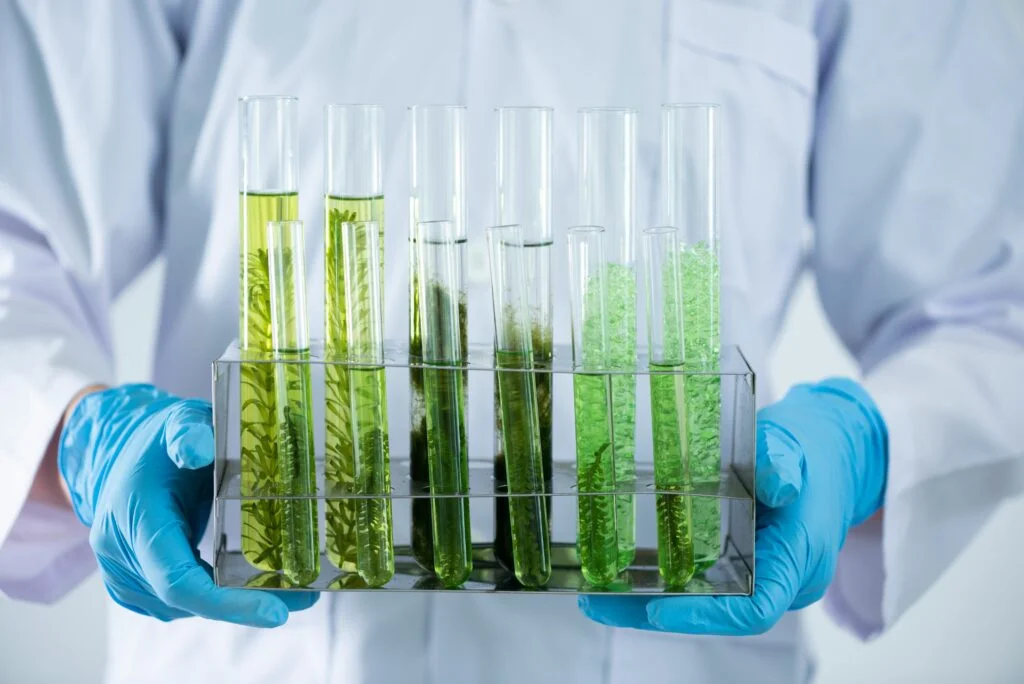 The scientist test the natural product extract