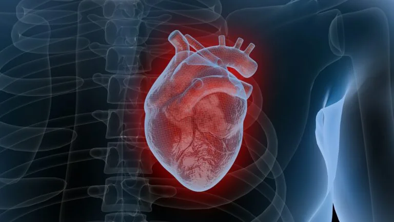 a human body with a heart in the middle of it