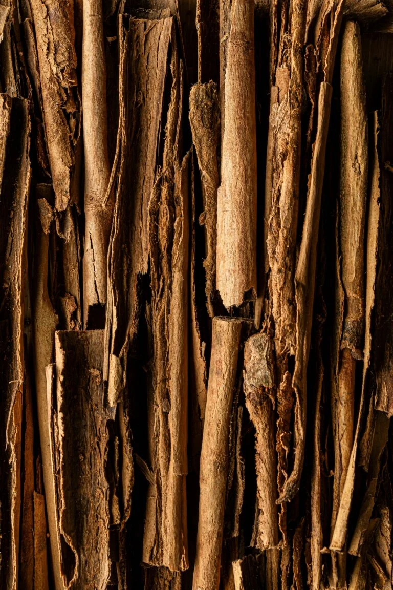 a bunch of ashwagandha root