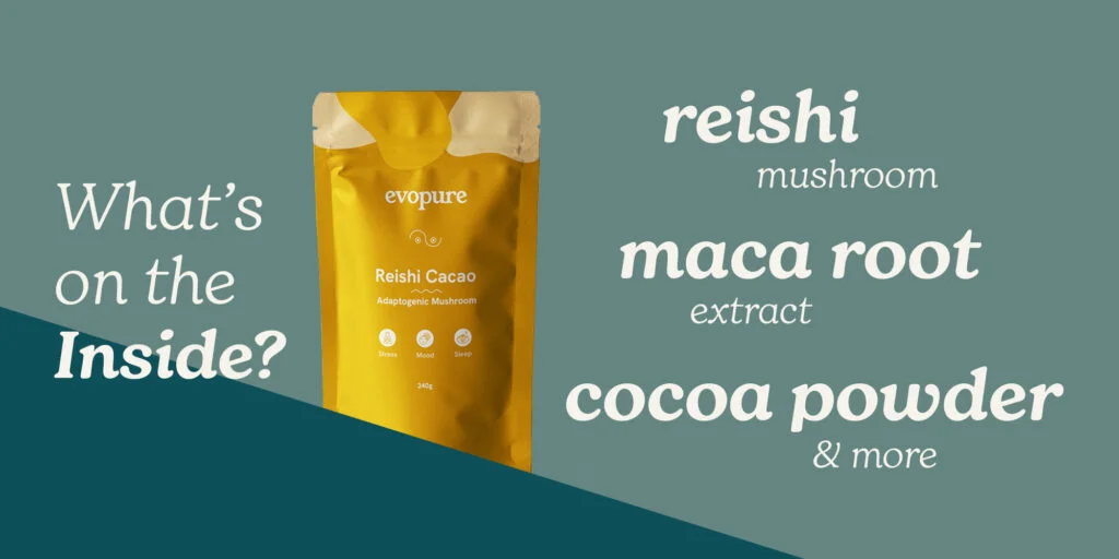 Evopure Reishi Cacao supplement package with text on a teal landscape background