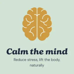 Mind Icon - Calm the mind