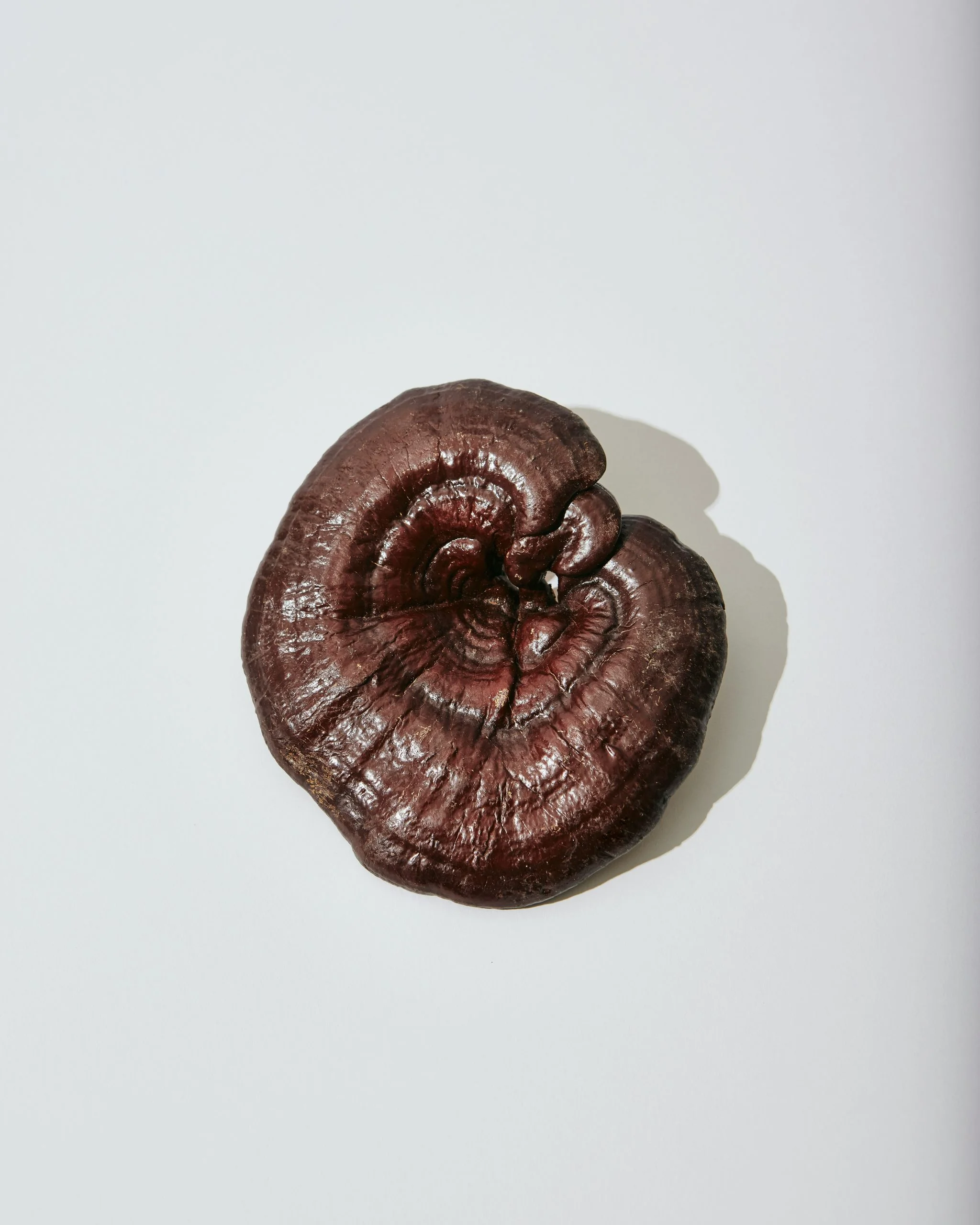An iced cacao