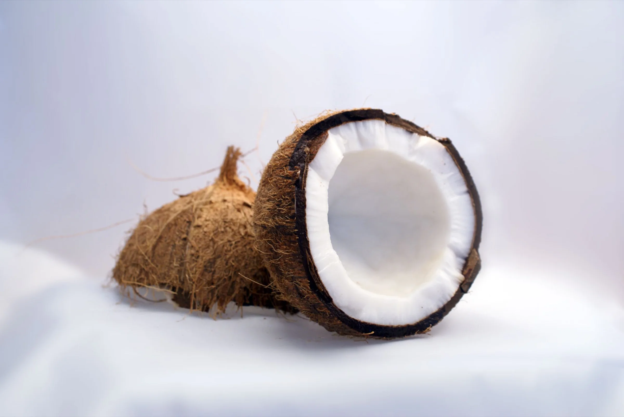 Two coconut halves on a white background