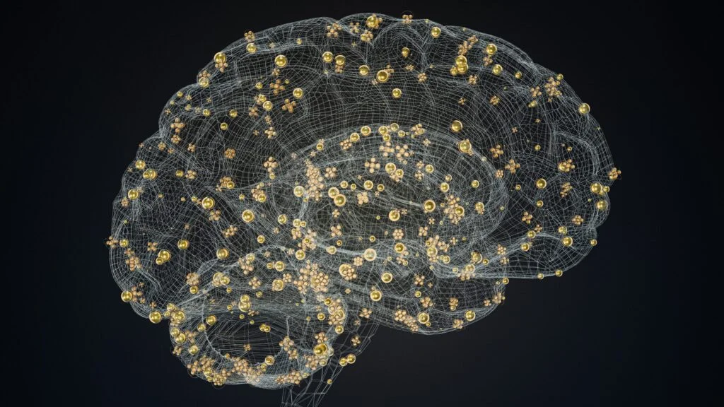An illustration of a glowing wireframe brain on a dark background