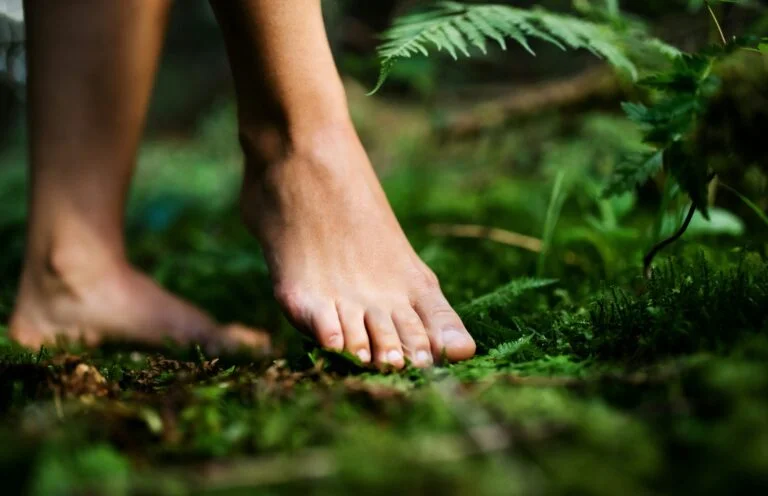 Bare feet stepping on soft green moss and ferns in a forest