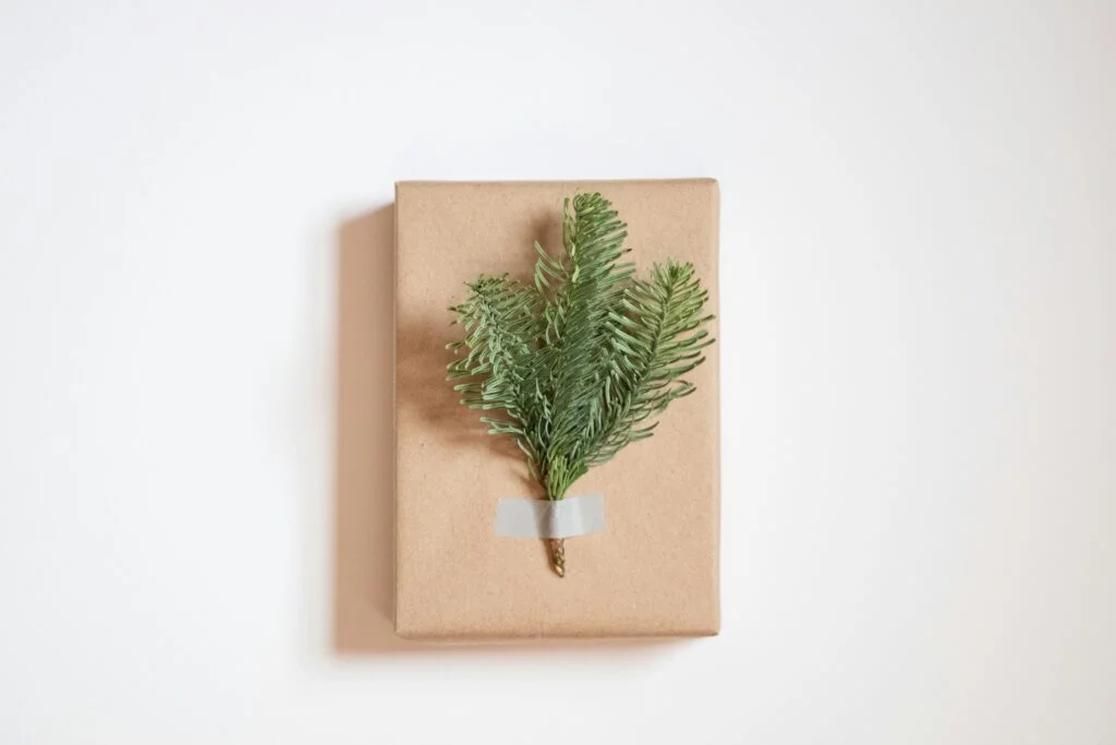 A small parcel wrapped in brown paper with a sprig of greenery, ready to post as a thinking of you gift