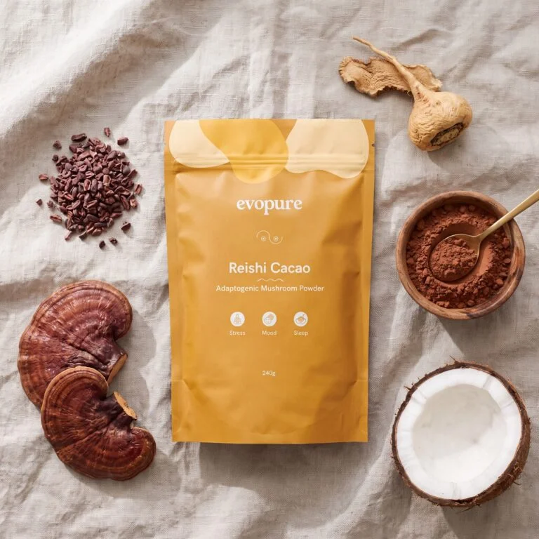 Evopure Reishi Mushroom Adaptogenic Complex pouch with reishi mushroom, cacao and coconut