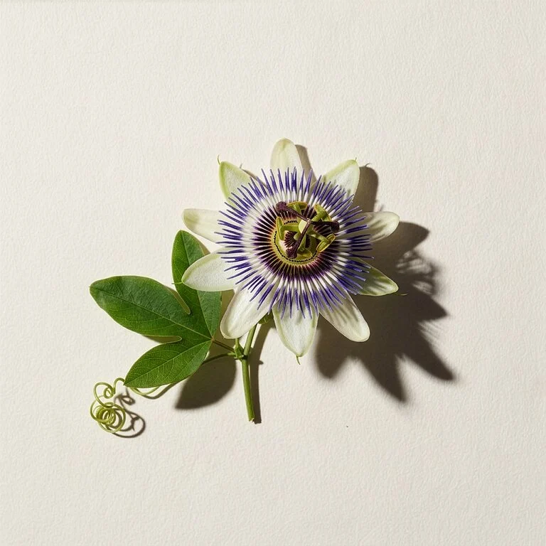 Passionflower Extract