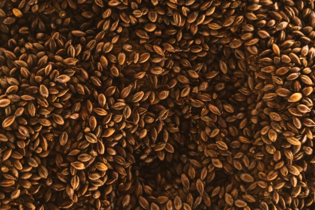 Close-up of whole brown flaxseeds