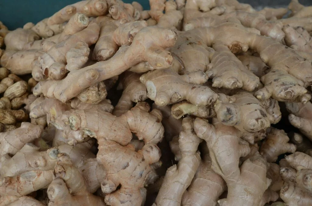 A pile of fresh ginger root