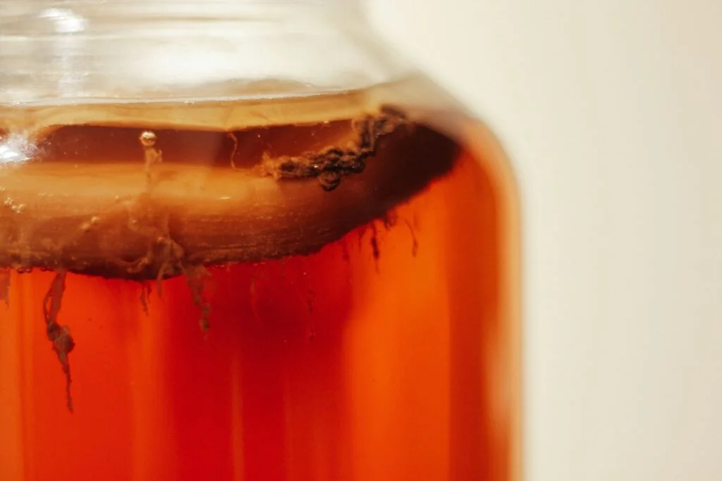 Home-brewed kombucha in a glass jar with the SCOBY floating on top