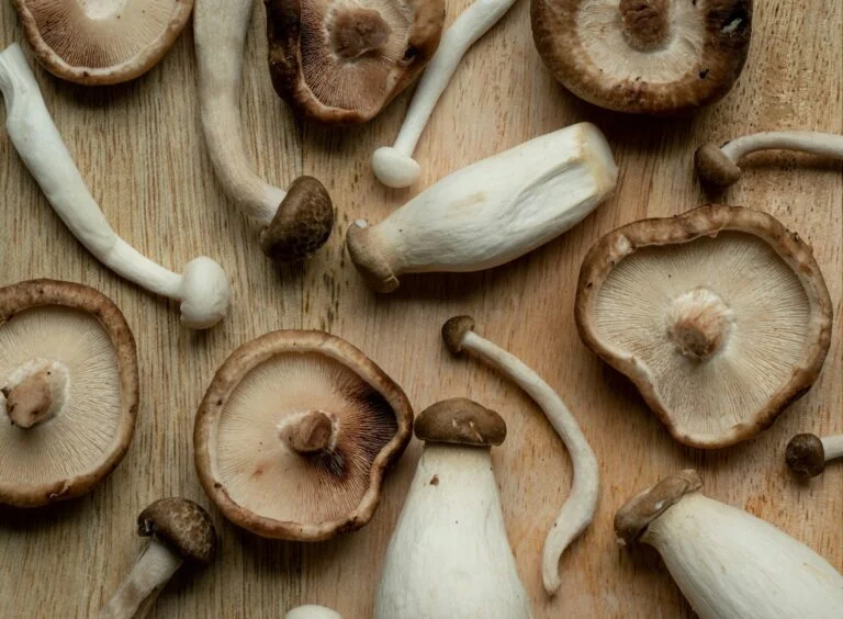 Shiitake and king oyster mushrooms laid out on a wooden board