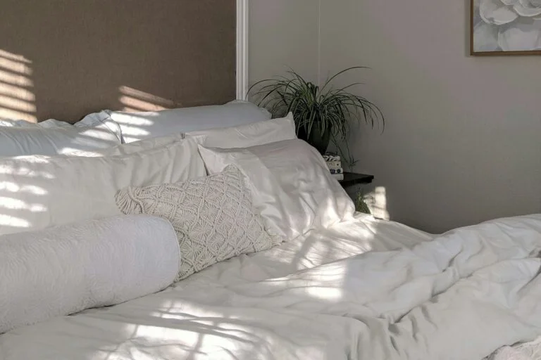 Sunlit white bed with pillows and a plant
