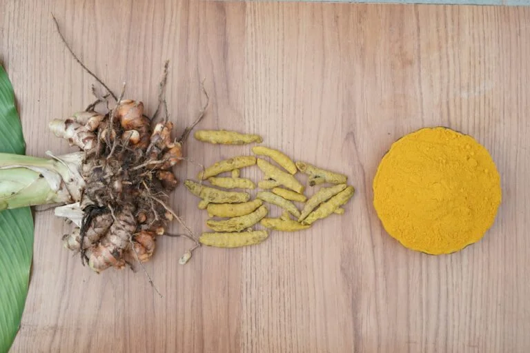 Fresh turmeric root, dried pieces and ground turmeric on a wooden board