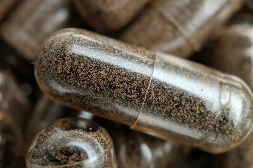 Close-up of brown vegetable capsules