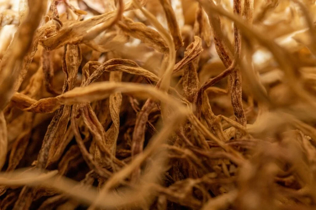 Close-up of dried ashwagandha roots