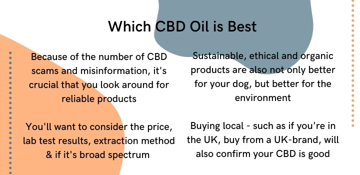 Which CBD oil is best for dogs
