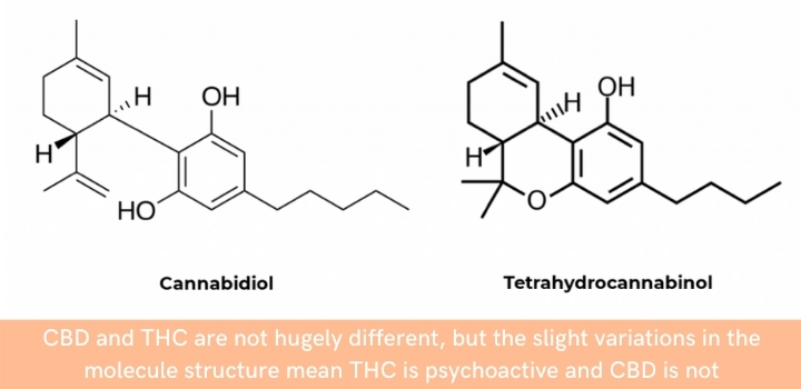 CBD and THC molecule