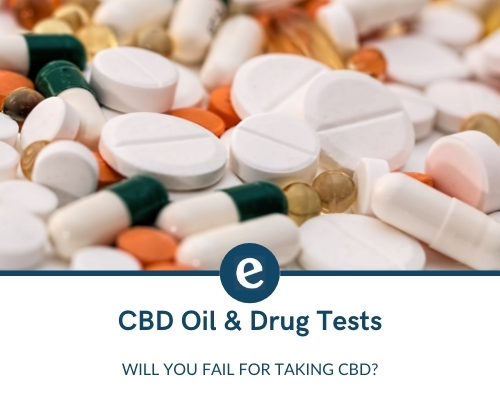 Does CBD oil show up on a drug test