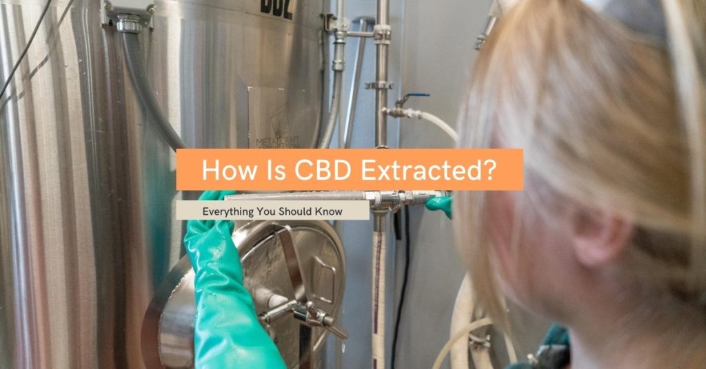 How Is CBD Extracted