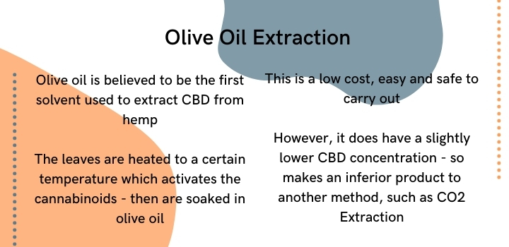 olive oil cbd extraction