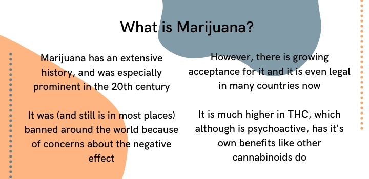 What is marijuana