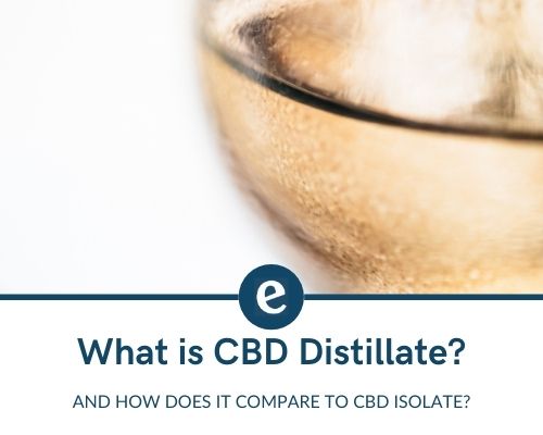 What Is CBD Distillate: The Best Ultimate Guide 2021