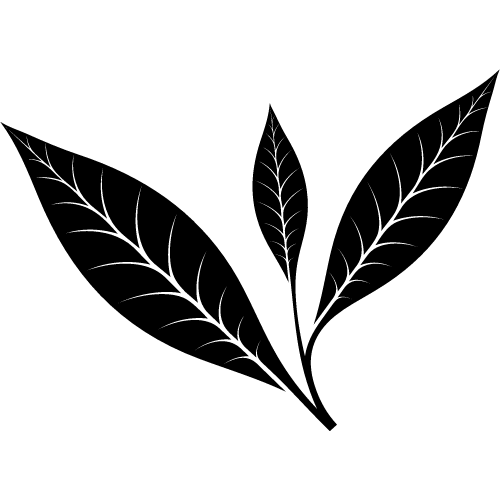 Green Sencha Jasmine Hemp Tea - Evopure