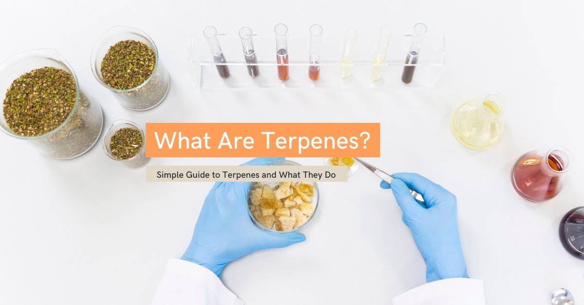 What Are Terpenes? (Simple Guide)