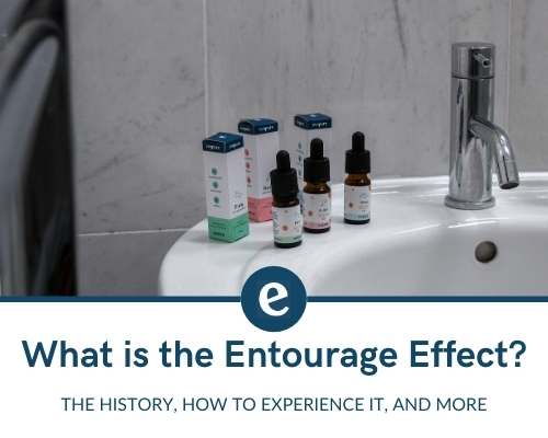 What is the entourage effect?