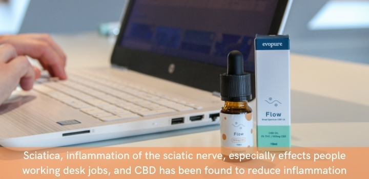 CBD oil can relieve inflammation, and therefore sciatica