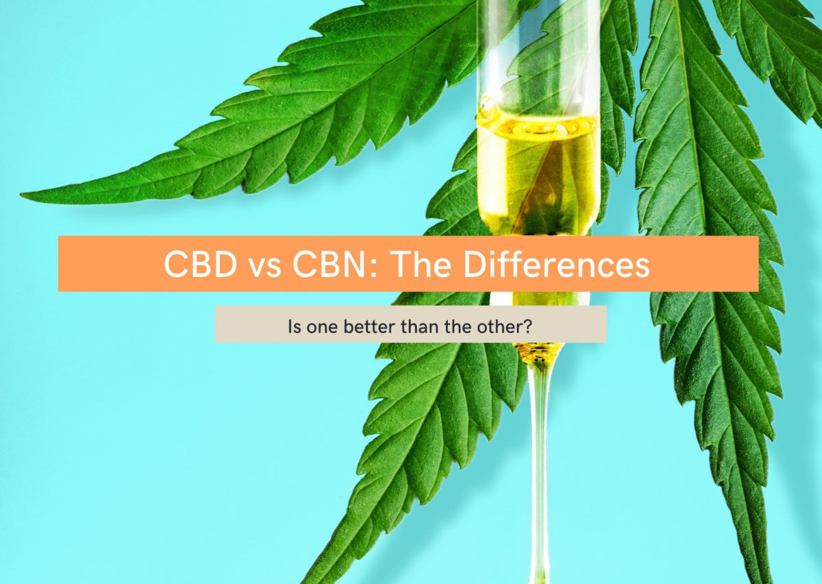 The Differences Between CBD Vs CBN (Evopure)