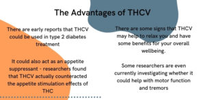 What Is THCV, And How Does It Compare To CBD And THC? - Evopure