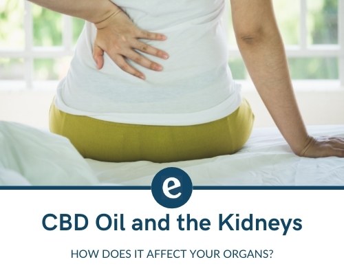 How does CBD oil affect the kidneys