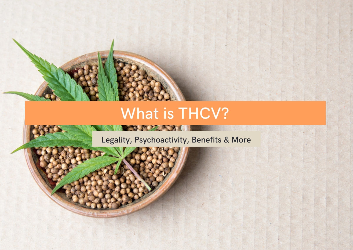 What Is THCV, And How Does It Compare To CBD And THC? - Evopure