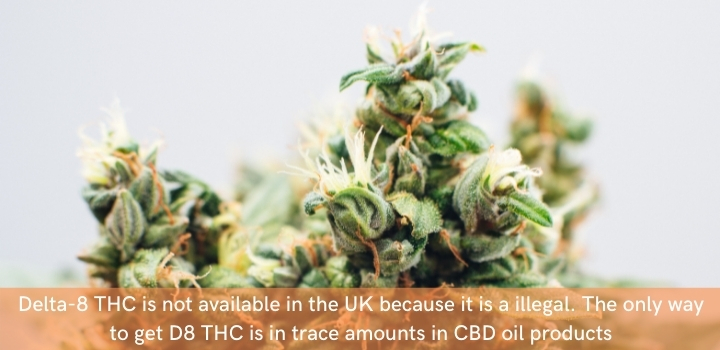 where can you buy delta 8 thc uk