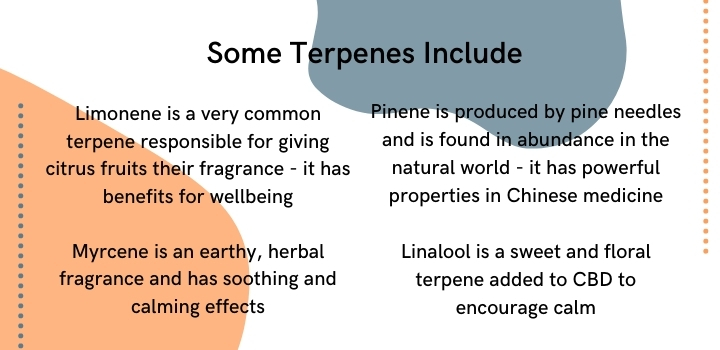 Different types of terpenes