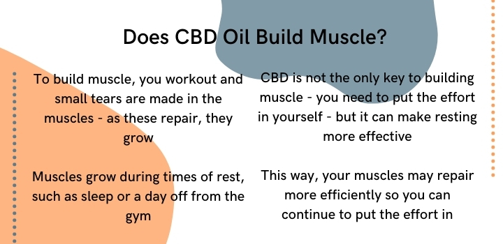 Does CBD oil build muscle