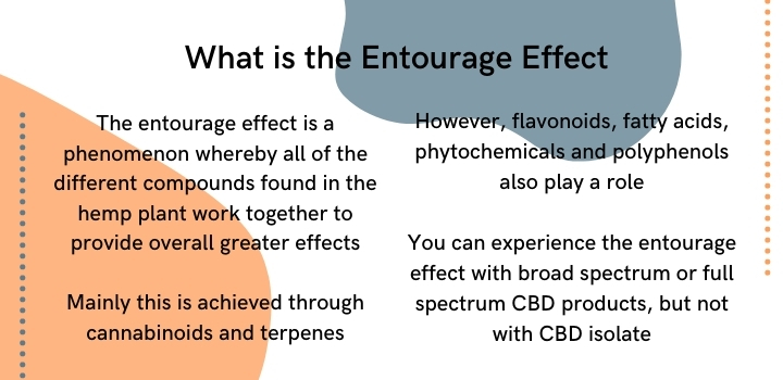 What is the entourage effect