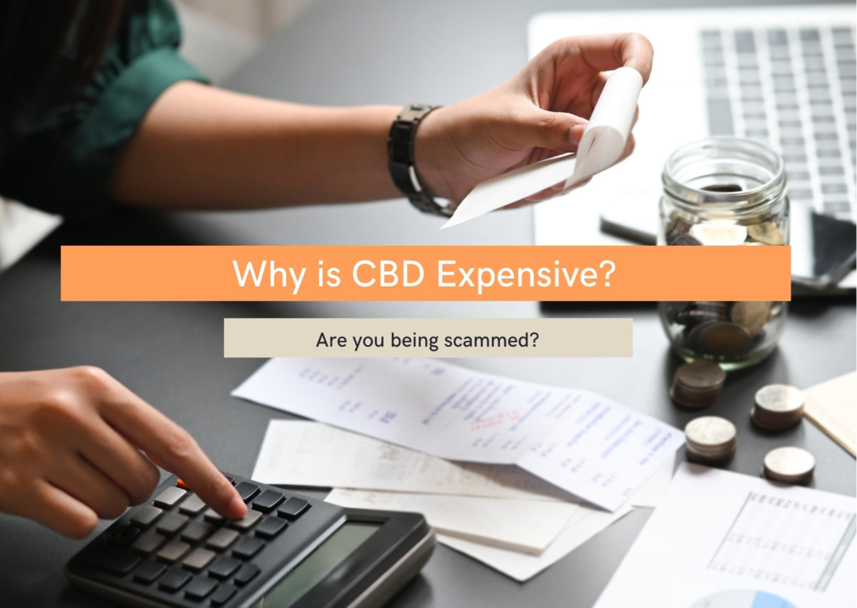 Why Is CBD Oil So Expensive? - Evopure