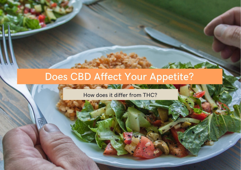 Does CBD oil affect your appetite