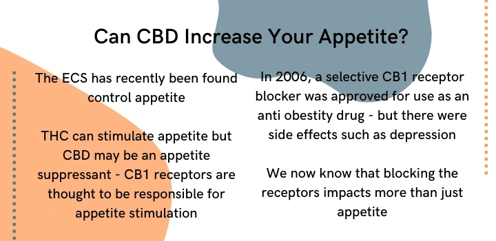Can CBD oil increase your appetite
