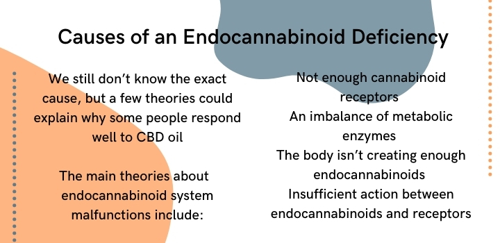 What causes an endocannabinoid deficiency